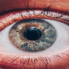 Banco de imágenes. Pexels