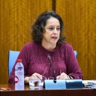 El consejero de Salud, Catalina García, en la comisión parlamentaria del 14 de febrero de 2024.