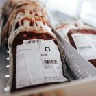 Bolsas para donaciones de médula ósea.