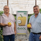 Pimiento Gasol de Semillas Fitó 