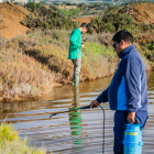 Técnicos trabajando en las labores de desinsectación.