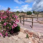 Una zona espectacular para disfrutar del escape room en familia gracias a la Asociación de Vecinos La Palmera.