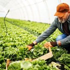 Imagen de archivo de un agricultor.