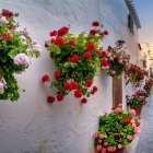 Las calles decoradas con plantas y las casas blancas dan una imagen única.