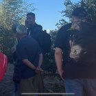 Los pasajeros afectados esperando subir al autobús para llegar a Almería.