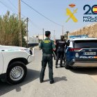 Agentes de la Guardia Civil y Policía Nacional.