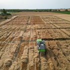 En esta campaña se han sembrado nuevas variedades de 15 especies en 133 ensayos distribuidos por la geografía española