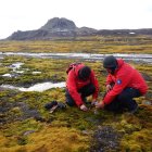 Investigadores recolectando hongos en la Antártida