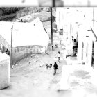 Los perros sueltos formaban parte del paisaje cotidiano de Almería cuando la vida corría desbocada en las calles.