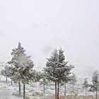 El entorno de Calar Alto este domingo captado desde una cámara del observatorio.