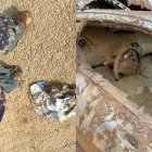 A la izquierda, Juan González Nieto lleno de barro; a la derecha, el interior de un coche afectado por la riada.