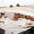 Daños en un invernadero de El Ejido.