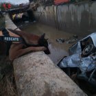 Uno de los canes de la unidad de rescate almeriense.