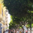 La Semana del Tomate, que ha tomado el Paseo de Almería, finaliza este viernes