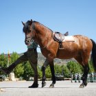 Desfile de la Caballería de la Legión