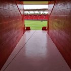Pasen y vean: parece otro Estadio.