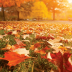 Pueblos que visitar este otoño.