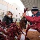 Son 26 las variedades ofertadas.