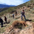 Vecinos de Almócita plantando árboles.