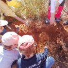 Pequeños y mayores plantando árboles en Almócita.