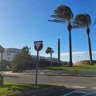 Palmera caída en El Toyo.