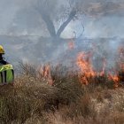 Imagenes del incendio en Turre cedidas por los Bomberos del Levante.