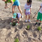 Durante la actividad de plantación de plantas aromáticas en Roquetas de Mar.