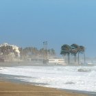 El fuerte viento golpeando las playas de la capital con las palmeras y las barquillas al fondo.