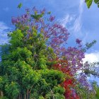 Colorida estampa primaveral en Ciudad Jardín.