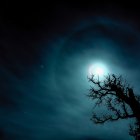 MEJOR FOTOGRAFÍA DEL SAFARI FOTOGRÁFICO - D. Miguel José Avalos González "Mirada al Paisaje"