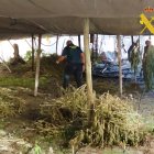 Imagen facilitada por Guardia Civil.