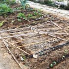 Captura de la imagen compartida por Juan José Segura.