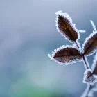 Imagen de archivo de Pixabay.