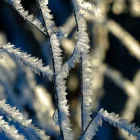 Imagen de archivo de Pixabay.