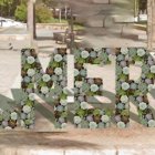 Diseño de la nueva jardinera para el Parque Nicolás Salmerón