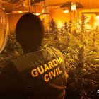 Imagen de archivo de una plantación de marihuana indoor.