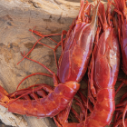 Reducen los límites de captura de la gamba roja en un 10%