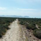 La Ciudad Deportiva del Almería se hará en El Toyo.