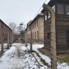 Alambrada en las inmediaciones de Auschwitz I-Birkenau. Foto: Irek Lewandowski.