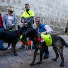 Campaña de adopciones navideña