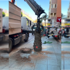 Retirada de palmeras en la Avenida Cabo de Gata