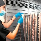 Archivo del Pulpo Seco en Adra.