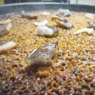 Uno de los arroces disponibles en el Restaurante El Cenachero en Vera.