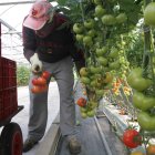 ¿Cuántos extranjeros viven en la provincia de Almería?