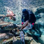 Daniel alimentando peces en uno de los tanques del acuario.