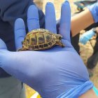 ASOCIACIÓN SERBAL ALMERÍA - Archivo