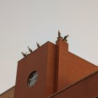Cigüeñas en edificios de Almería capital, en la tarde del pasado miércoles 20 de agosto.