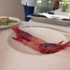 La gamba roja, protagonista del programa Andalucía come Cultura en el Restaurante La Lonja.