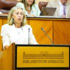 JOAQUÍN CORCHERO/PARLAMENTO DE ANDALUCÍA