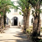Paseo rodeado de palmeras de la Casa del Cortijo Grande antes de quedar abandonada. Año 1970.